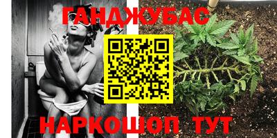 стаф Севастополь
