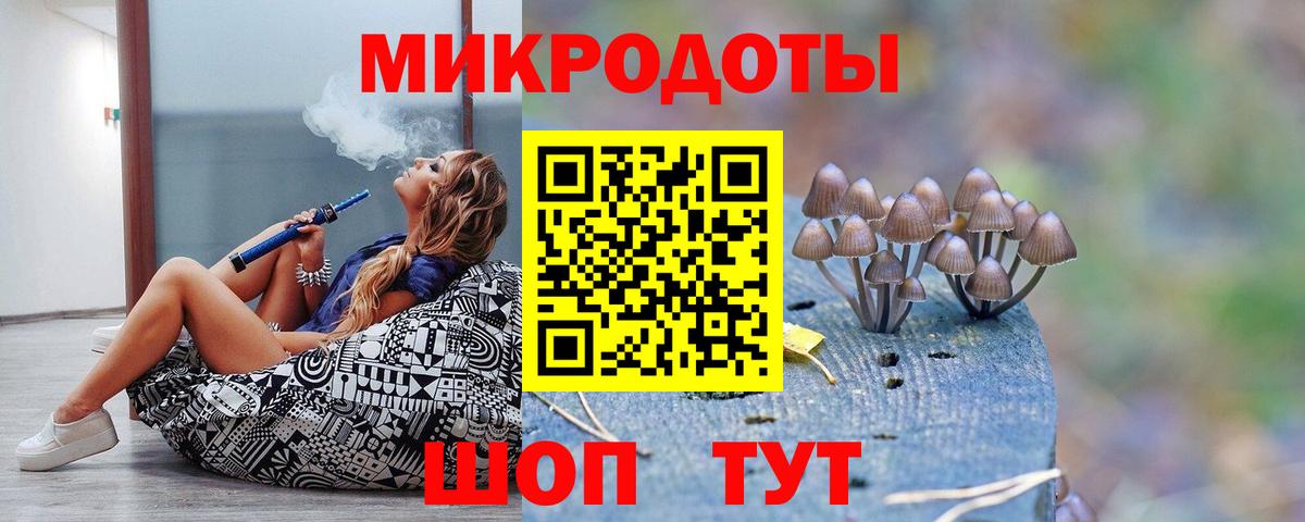 Псилоцибиновые грибы мицелий Нальчик